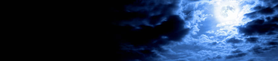 �N�Ɛ��E���I������ �V�[�Y��2�������͂�����H�����Ō�����@�́H